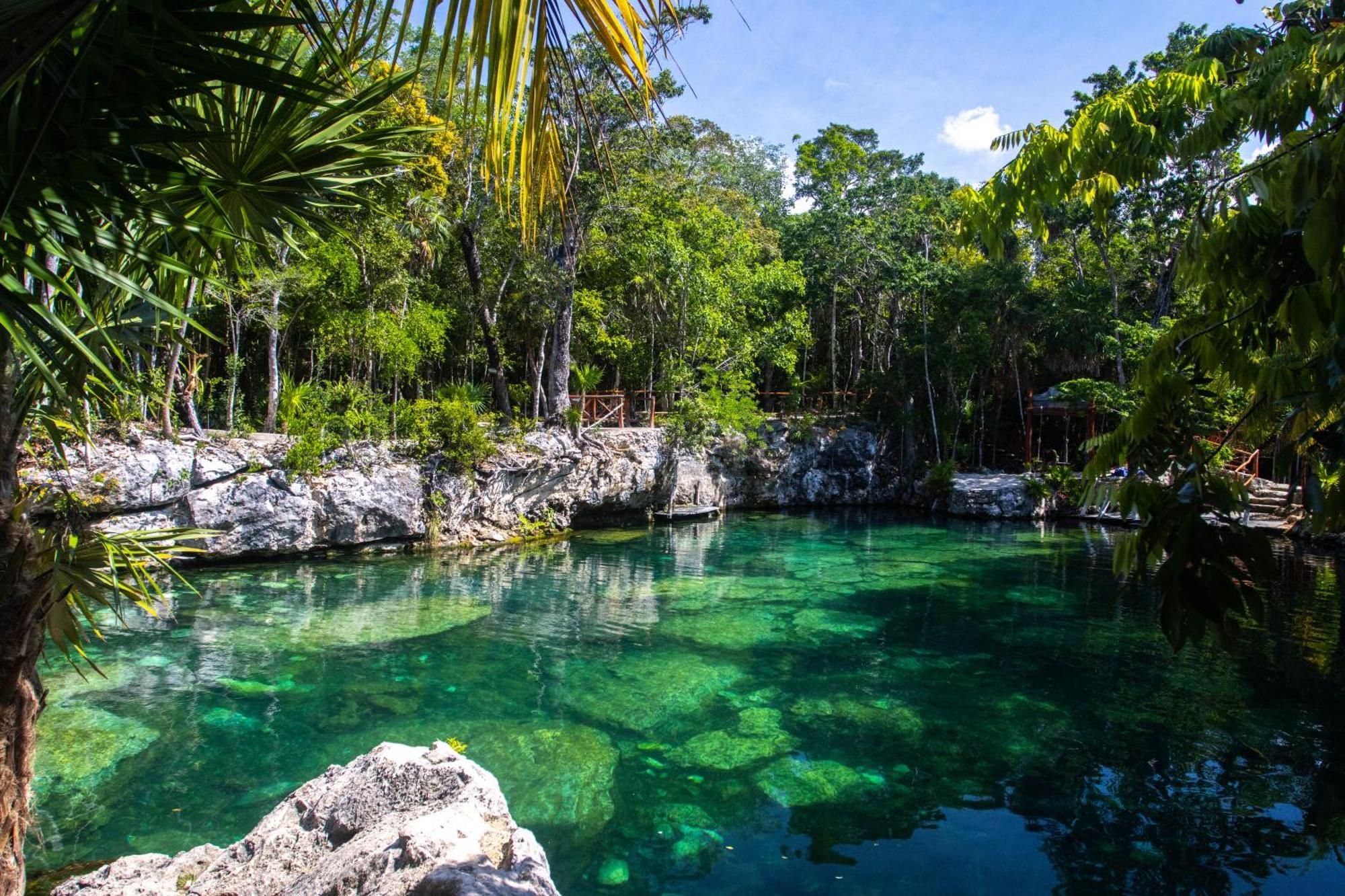 Hotel Casa Tortuga Tulum - Cenotes Park Inclusive 외부 사진 Cenote in Yucatán
